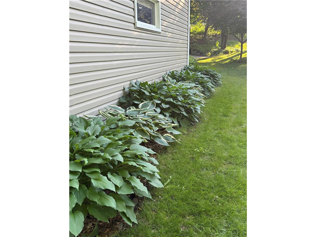 4151 Valley View Street Saint Bonifacius MN 55375 7093520 image21