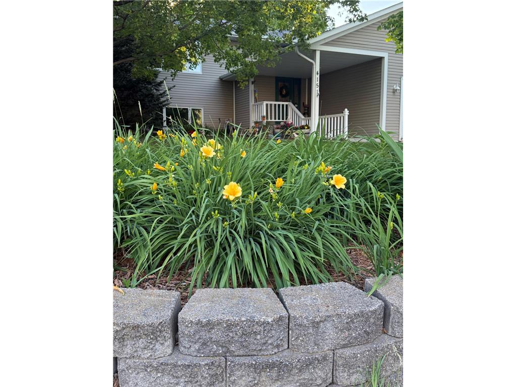 4151 Valley View Street Saint Bonifacius MN 55375 7093520 image29