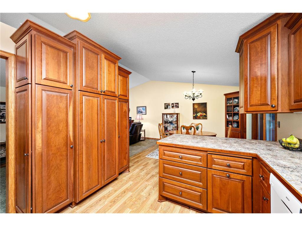 4151 Valley View Street Saint Bonifacius MN 55375 7093520 image39