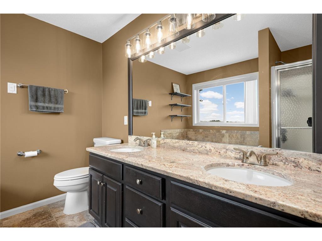 4152 Dakota Drive Rosemount MN 55068 7103342 image23