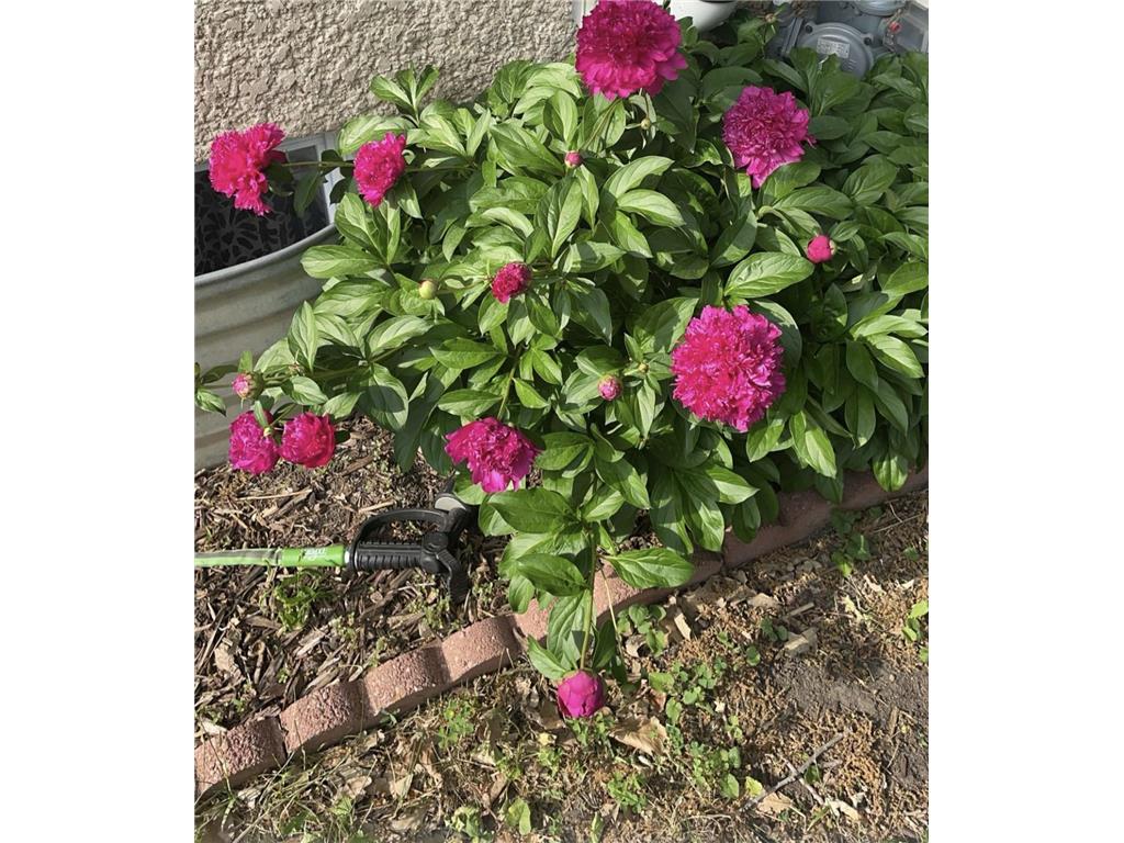 4152 Minnehaha Avenue Minneapolis MN 55406 7002327 image24