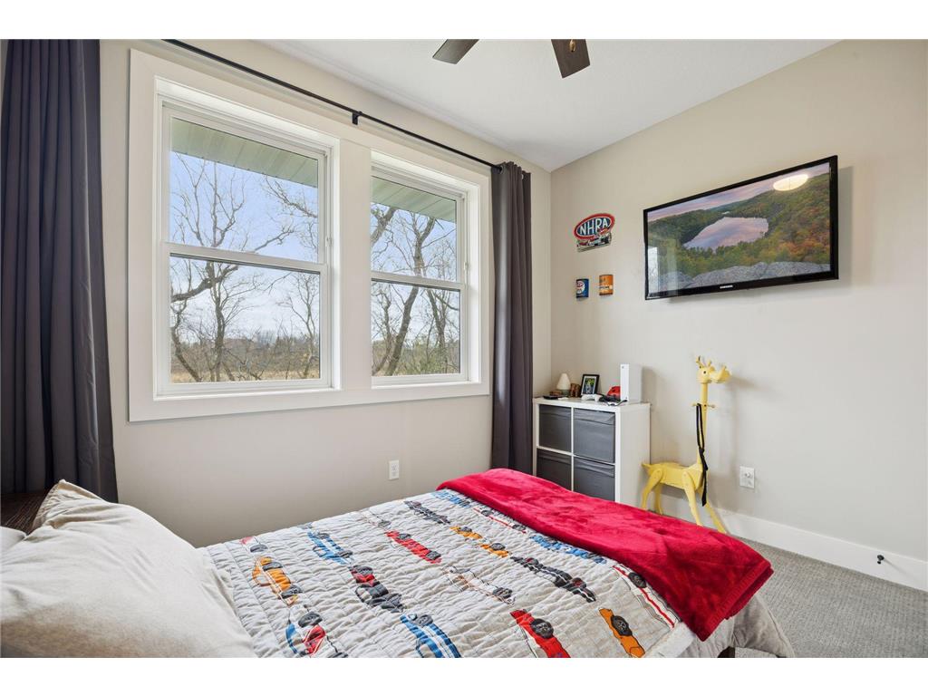 4160 Boulder Circle Webster Twp MN 55088 7069542 image23