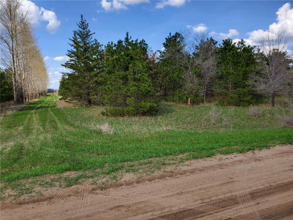41619 450th Street Perham Twp MN 56573 6372145 image1