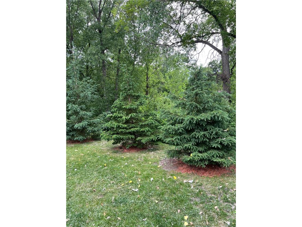 4165 Hilltop Point #102 Eagan MN 55123 7063717 image28