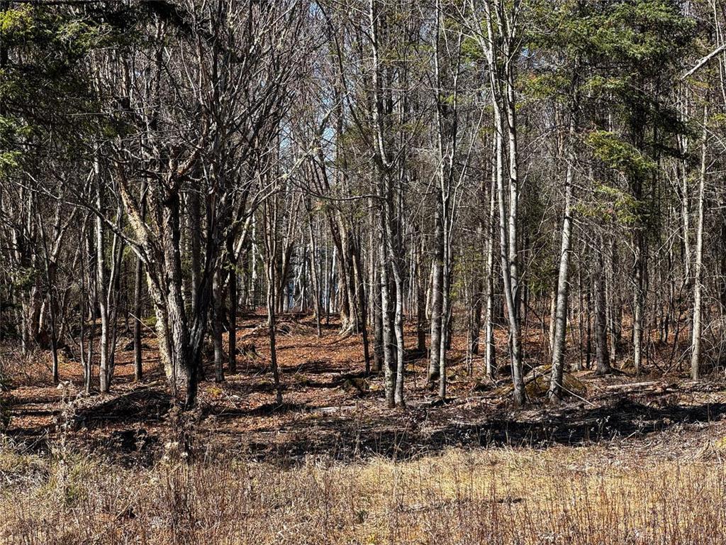417 Barrel Road Fall Lake Twp MN 55731 - Fall 7065628 image11