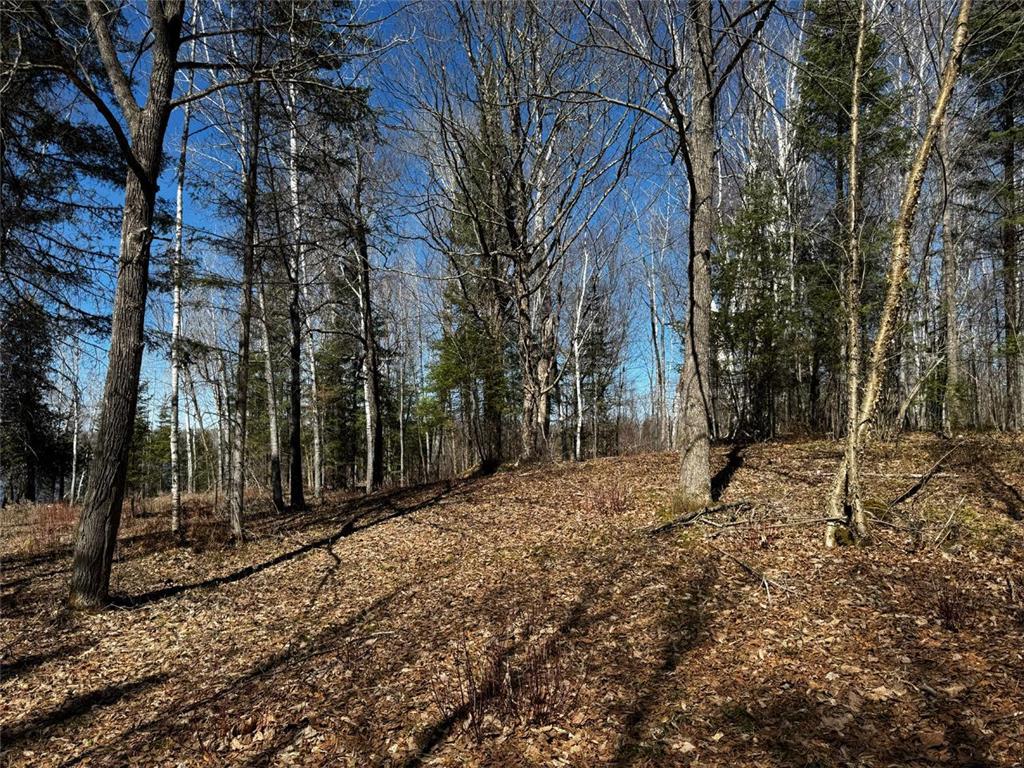 417 Barrel Road Fall Lake Twp MN 55731 - Fall 7065628 image8