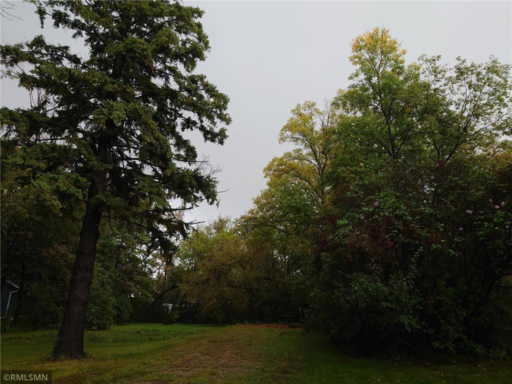 417 Park Street Alexandria MN 56308 6790862 image3