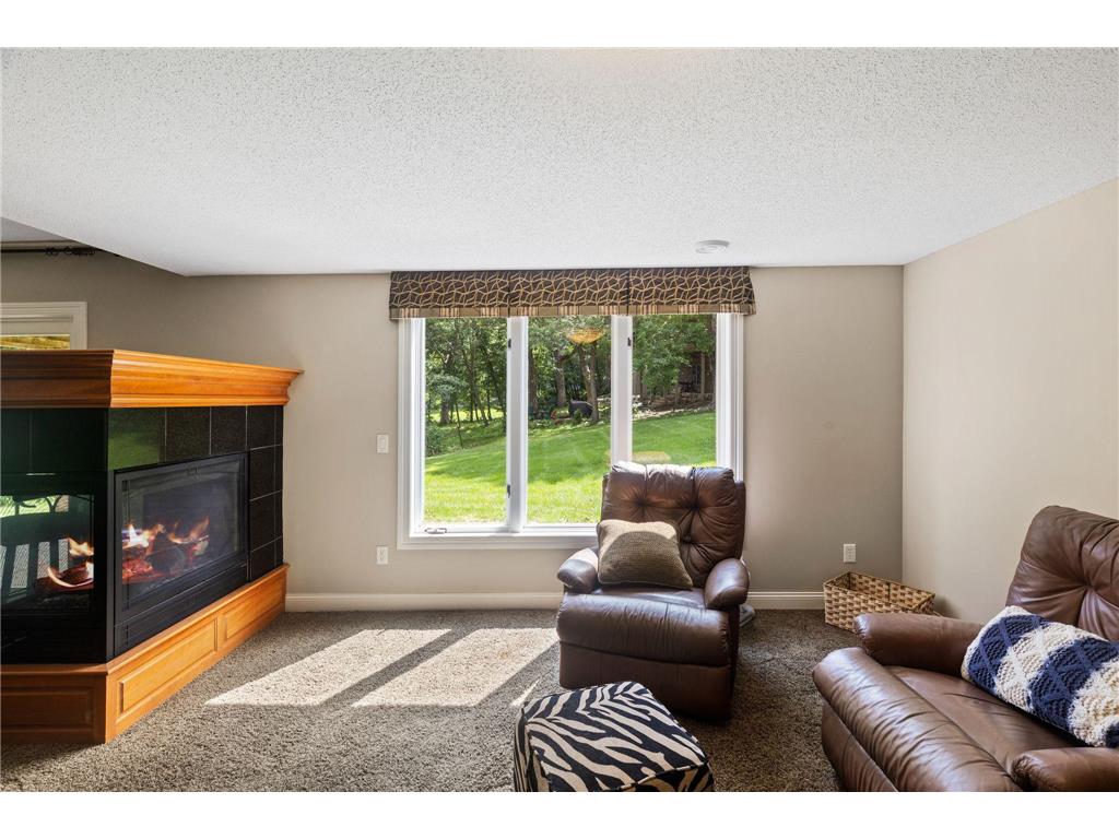 4172 Cashell Glen Eagan MN 55122 7048887 image30