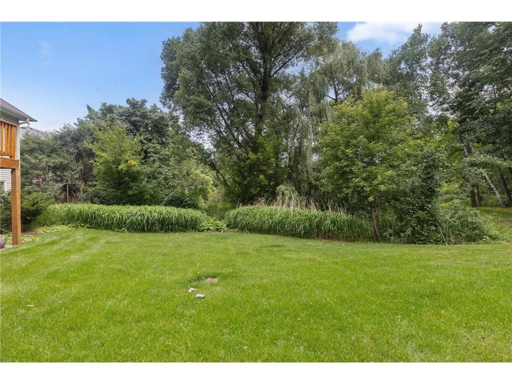 4172 Cashell Glen Eagan MN 55122 7048887 image43