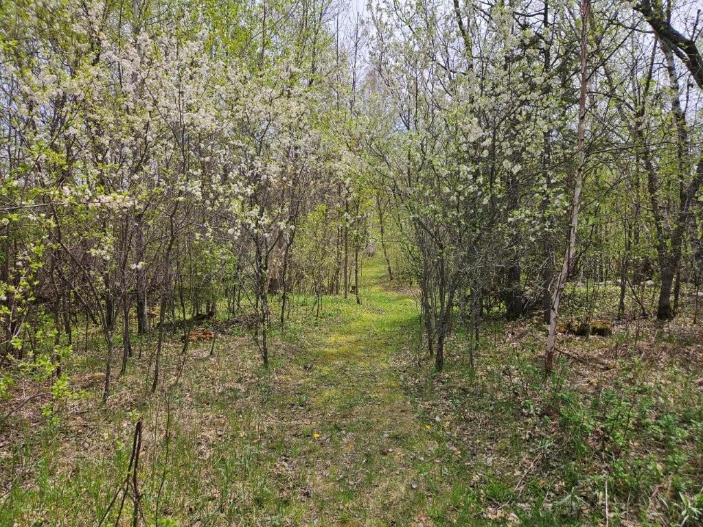 41721 County 2 Bagley MN 56621 7080489 image25