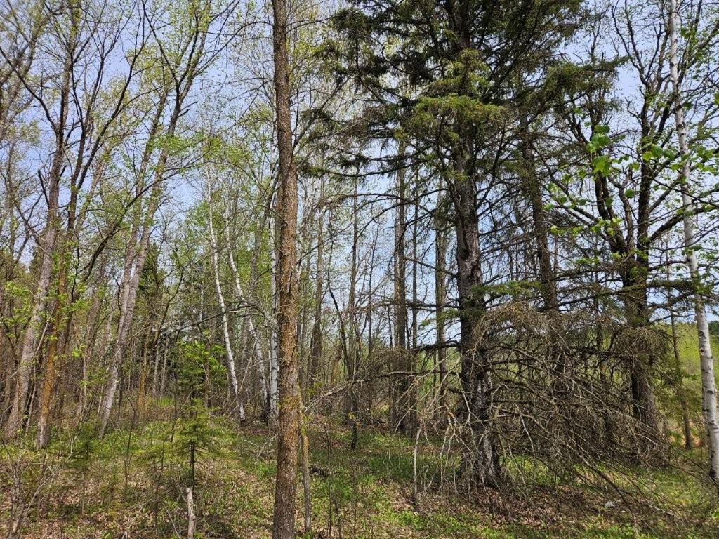 41721 County 2 Bagley MN 56621 7080489 image26