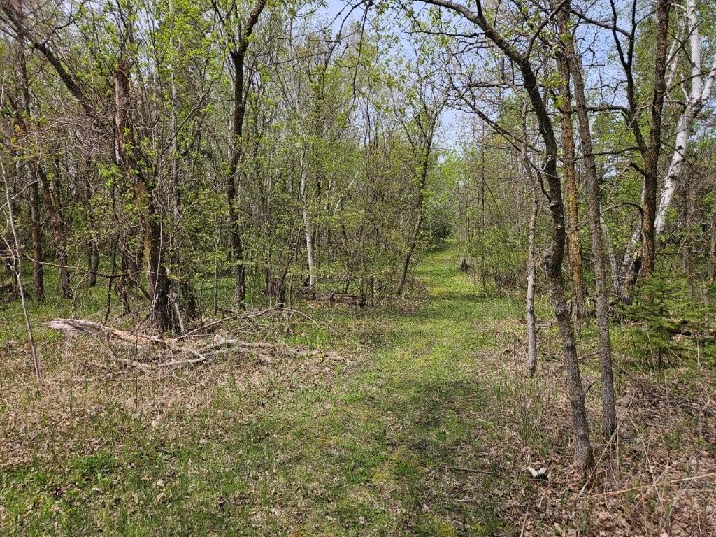 41721 County 2 Bagley MN 56621 7080489 image27
