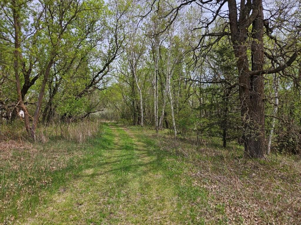 41721 County 2 Bagley MN 56621 7080489 image28