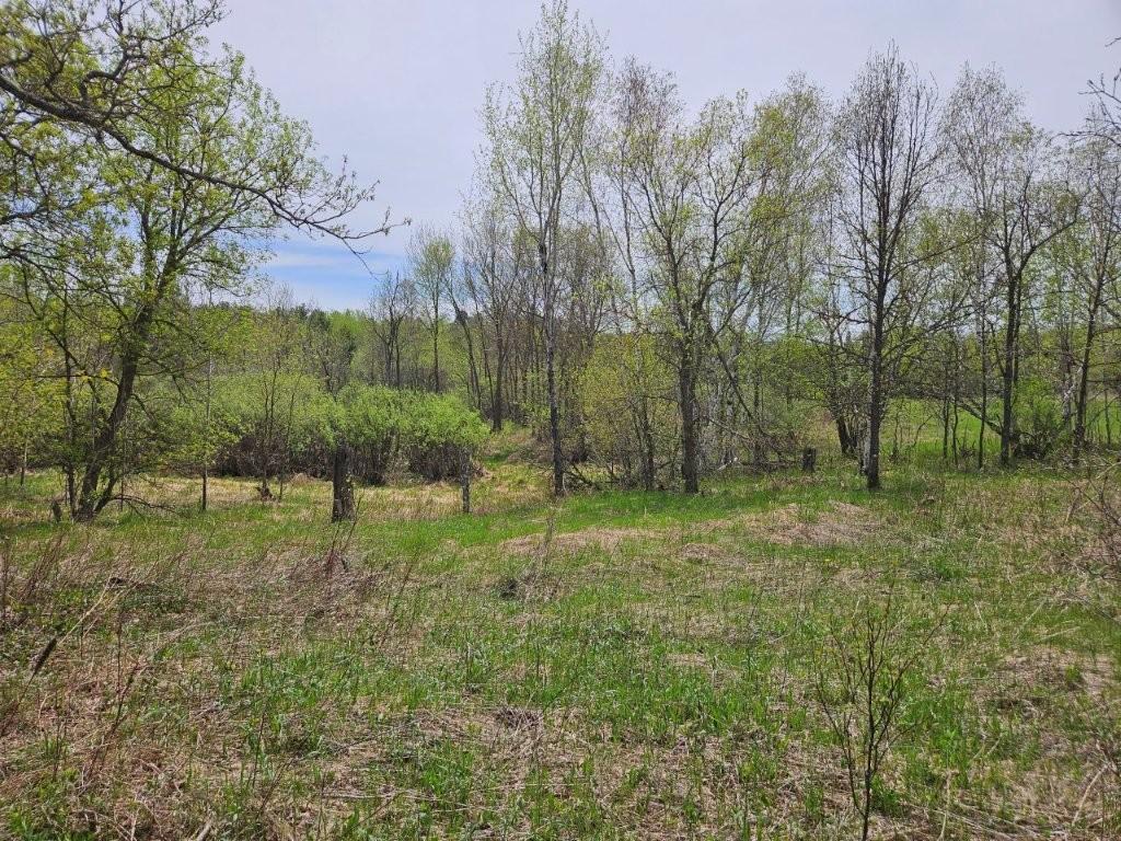 41721 County 2 Bagley MN 56621 7080489 image29