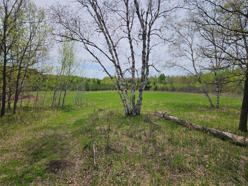 41721 County 2 Bagley MN 56621 7080489 image30
