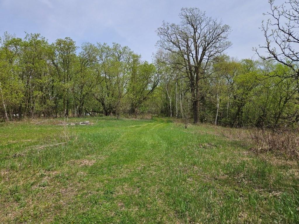 41721 County 2 Bagley MN 56621 7080489 image31