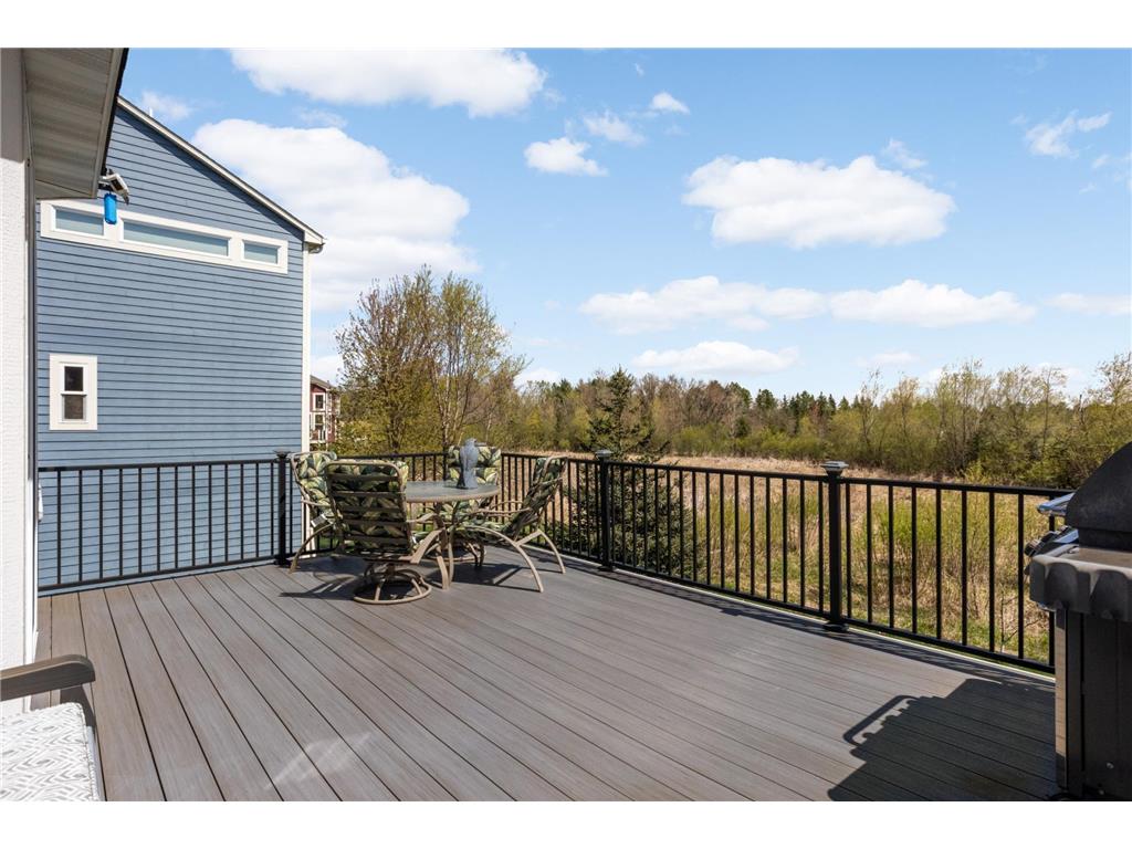 4181 Prairie View Trail Medina MN 55340 7041028 image35