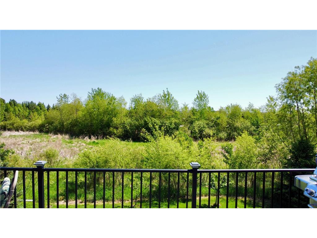 4181 Prairie View Trail Medina MN 55340 7041028 image39