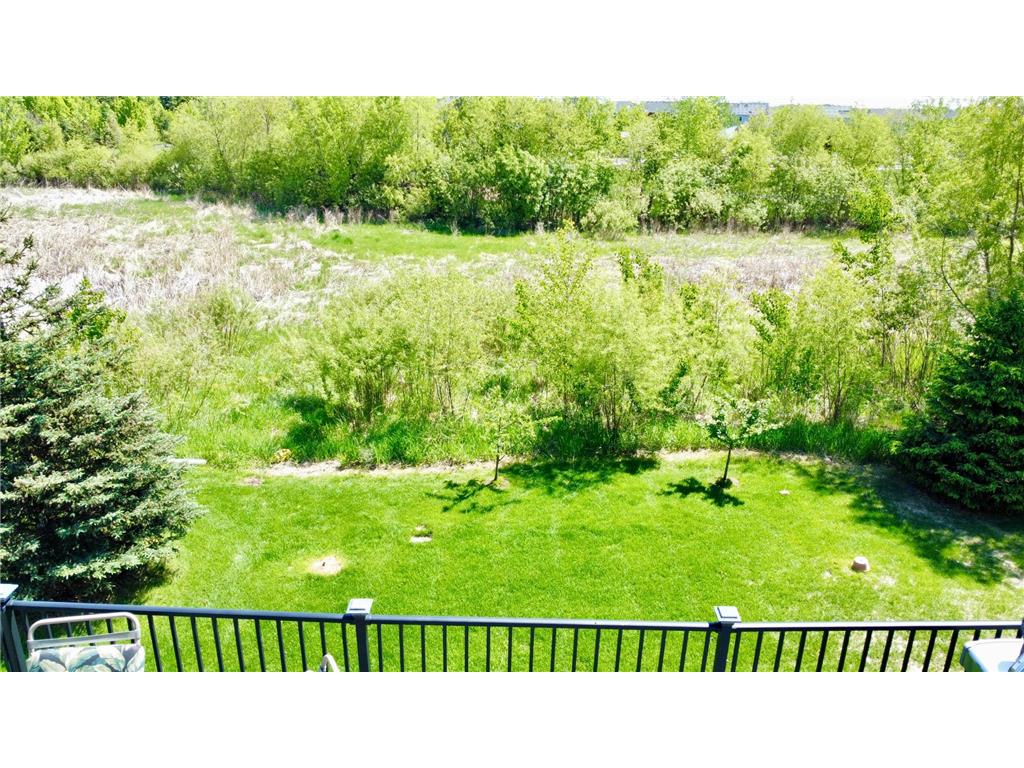 4181 Prairie View Trail Medina MN 55340 7041028 image43