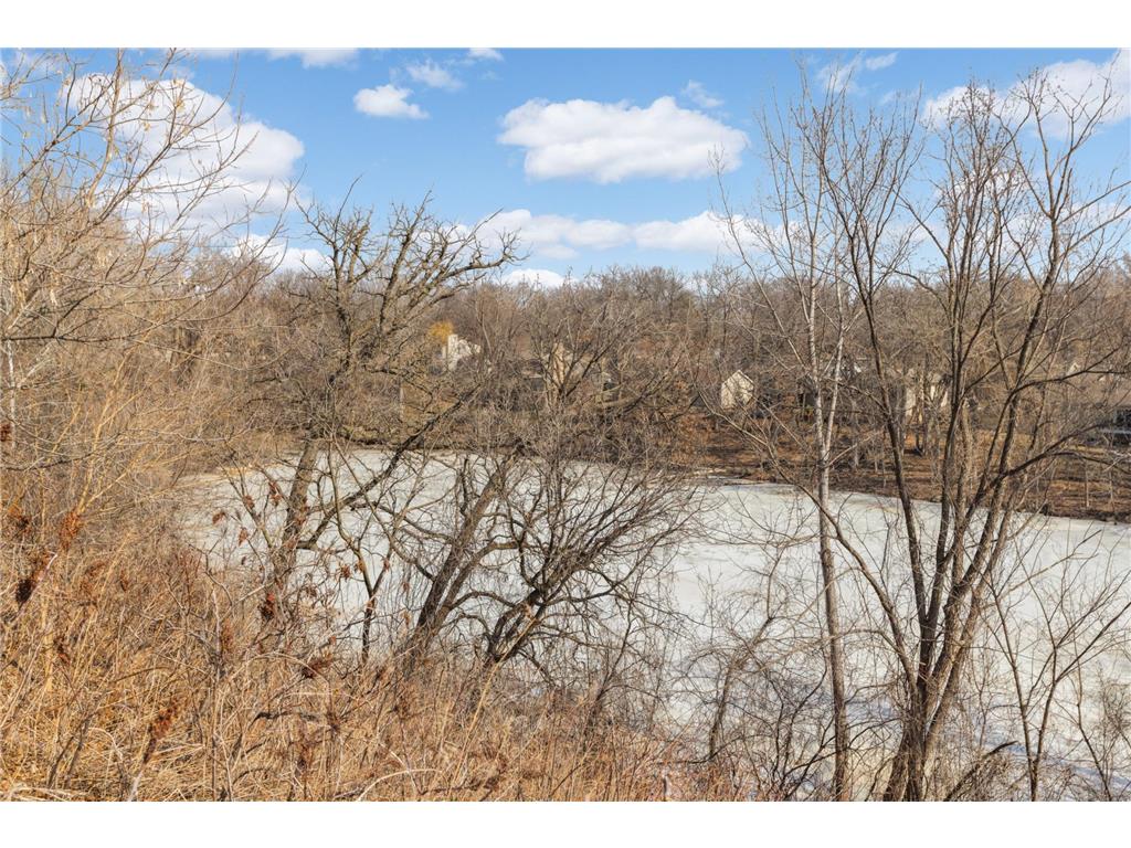 4185 Hilltop Point Eagan MN 55123 7015383 image30