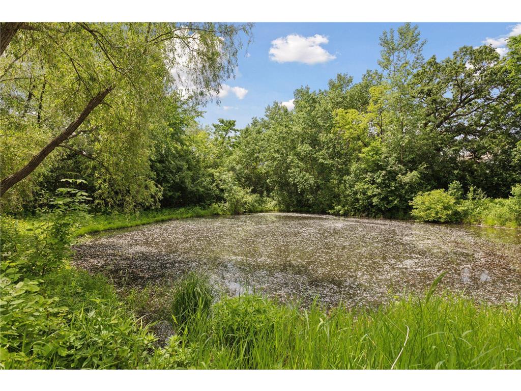 4185 Yuma Lane N Plymouth MN 55446 7053327 image52