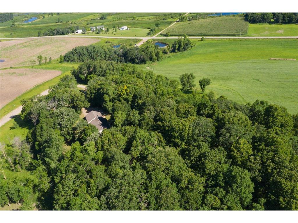 41854 215th Avenue Pelican Twp MN 56572 7070487 image3