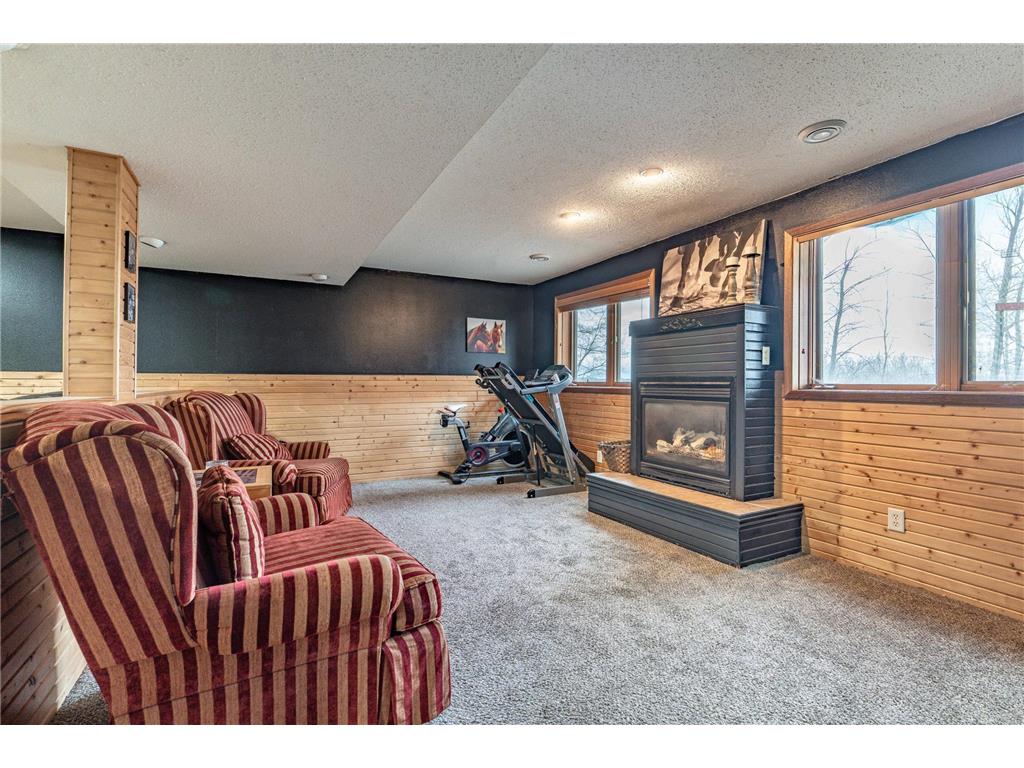 41854 215th Avenue Pelican Twp MN 56572 7070487 image35
