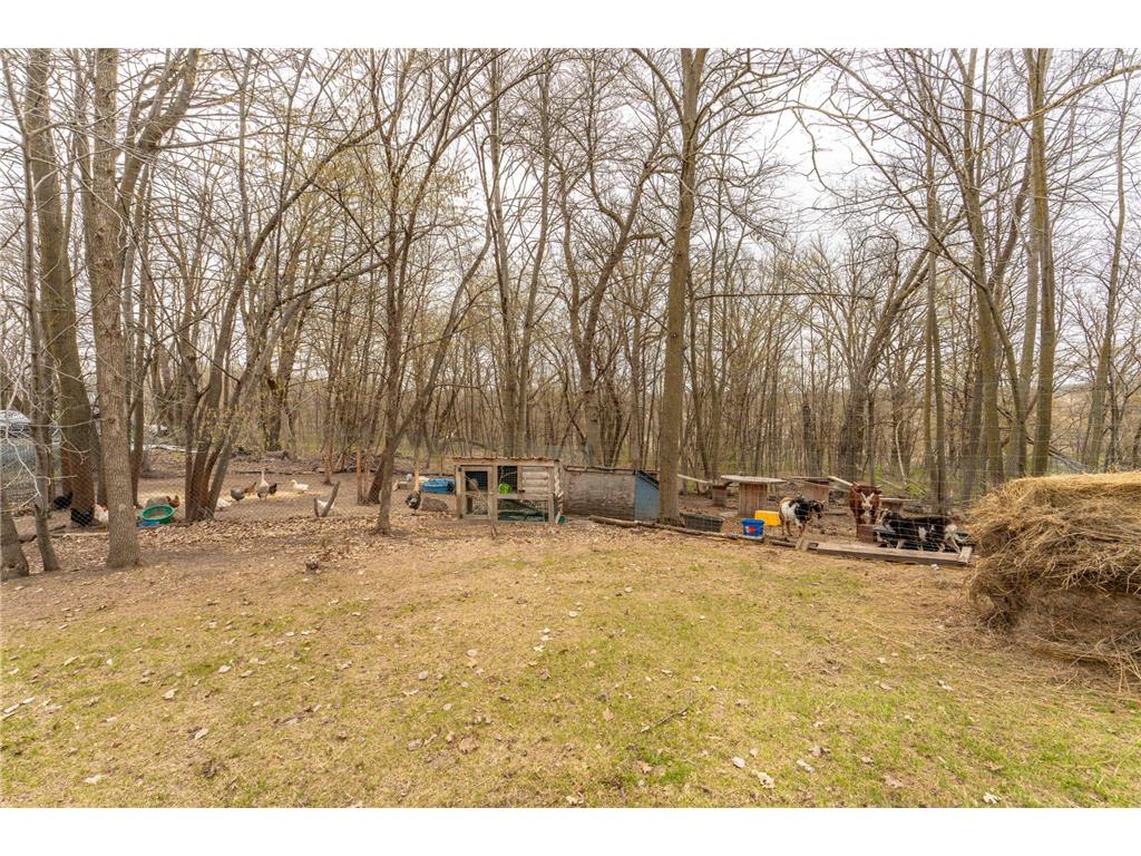 41854 215th Avenue Pelican Twp MN 56572 7070487 image53