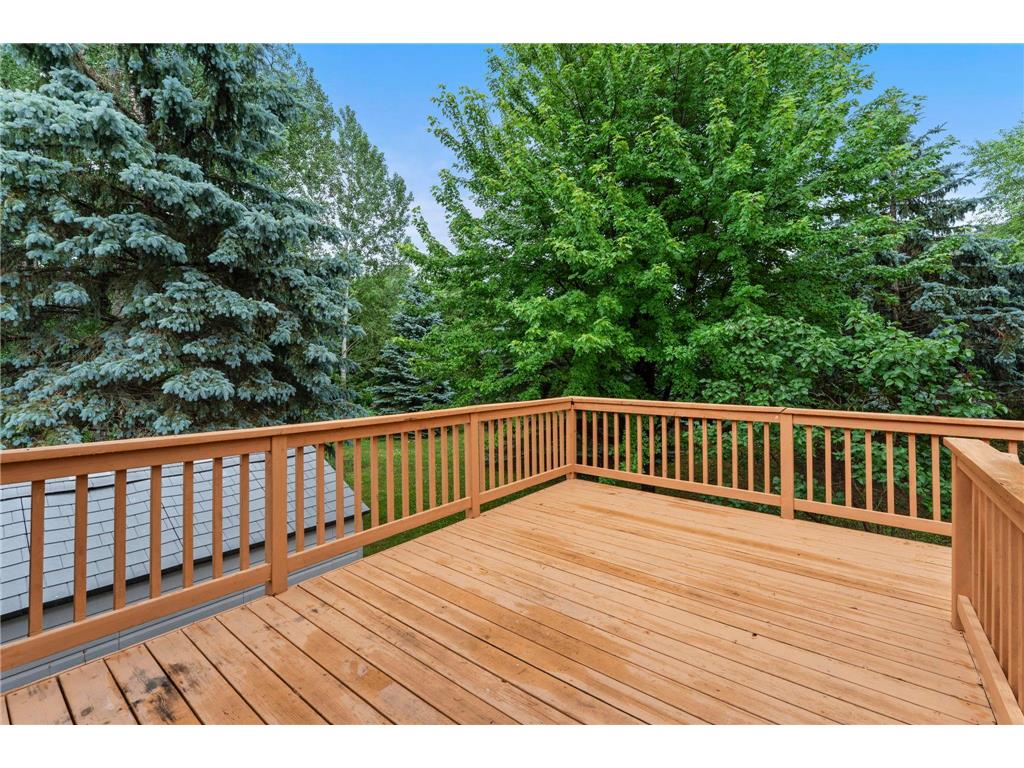 4186 Upper 156th Court W Rosemount MN 55068 7094952 image35