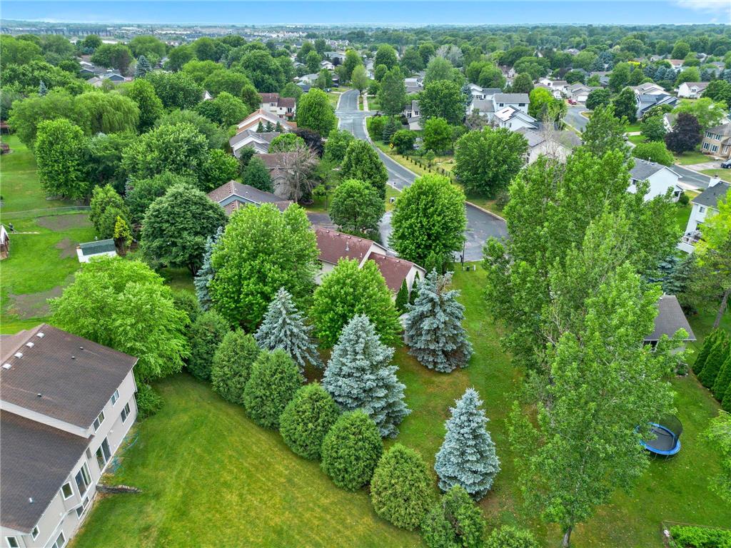 4186 Upper 156th Court W Rosemount MN 55068 7094952 image44