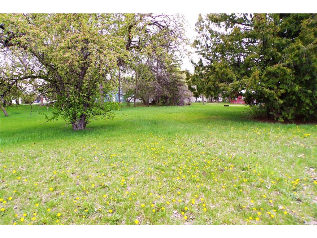 419 7th Street NE Long Prairie MN 56347 6532928 image1