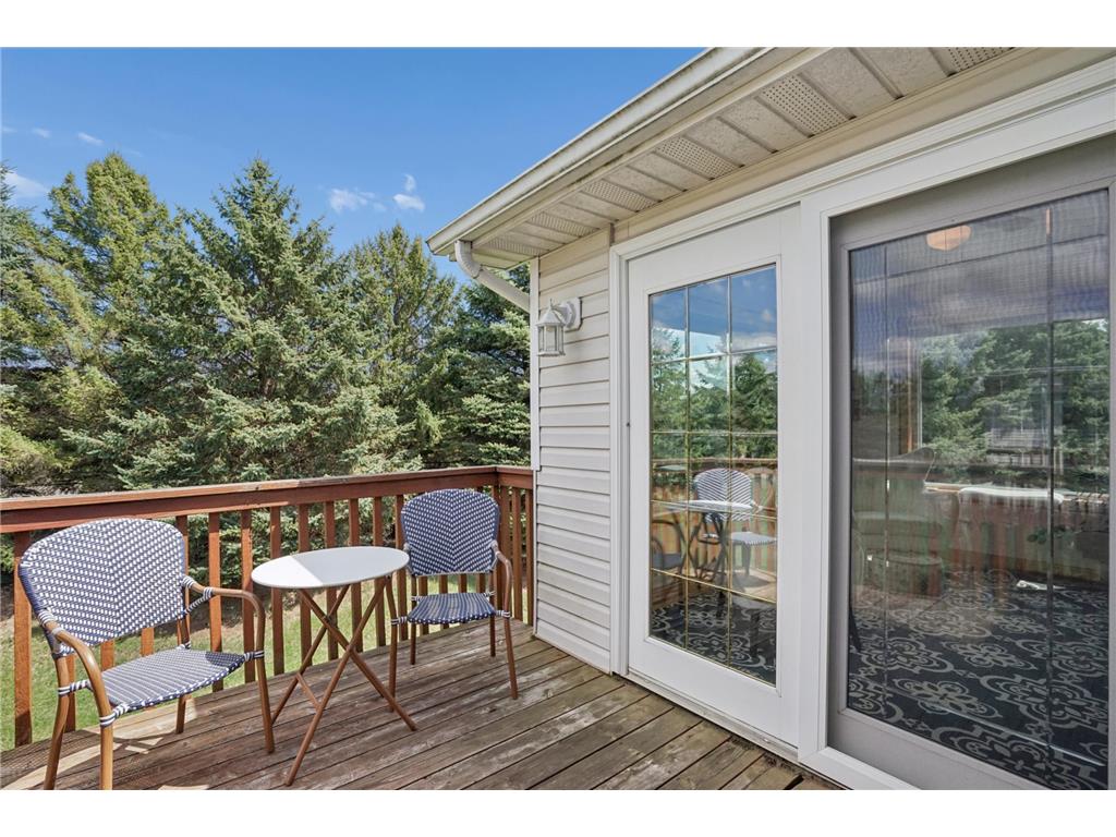 419 Buffalo Run Road Buffalo MN 55313 7077185 image13