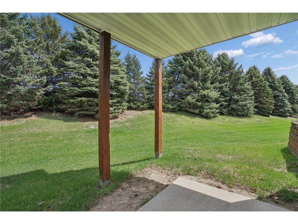 419 Buffalo Run Road Buffalo MN 55313 7077185 image38