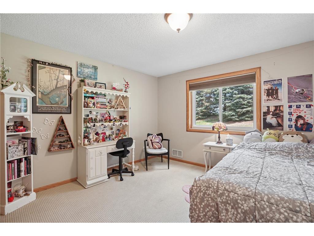 419 Buffalo Run Road Buffalo MN 55313 7077185 image39