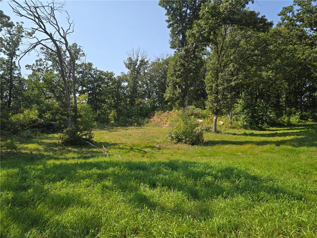419 Dianne Avenue Vergas MN 56587 6444067 image1