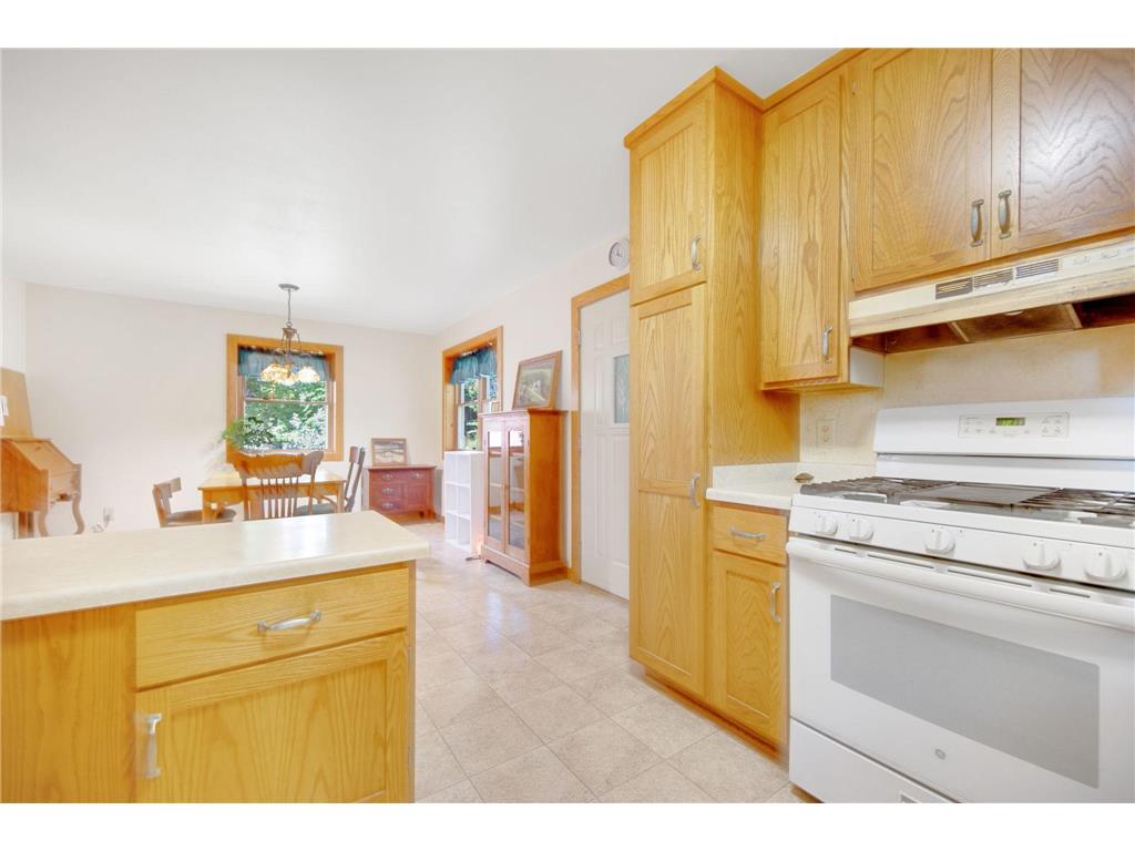 41912 205th Avenue Cordova Twp MN 56057 - Gorman 7021689 image13