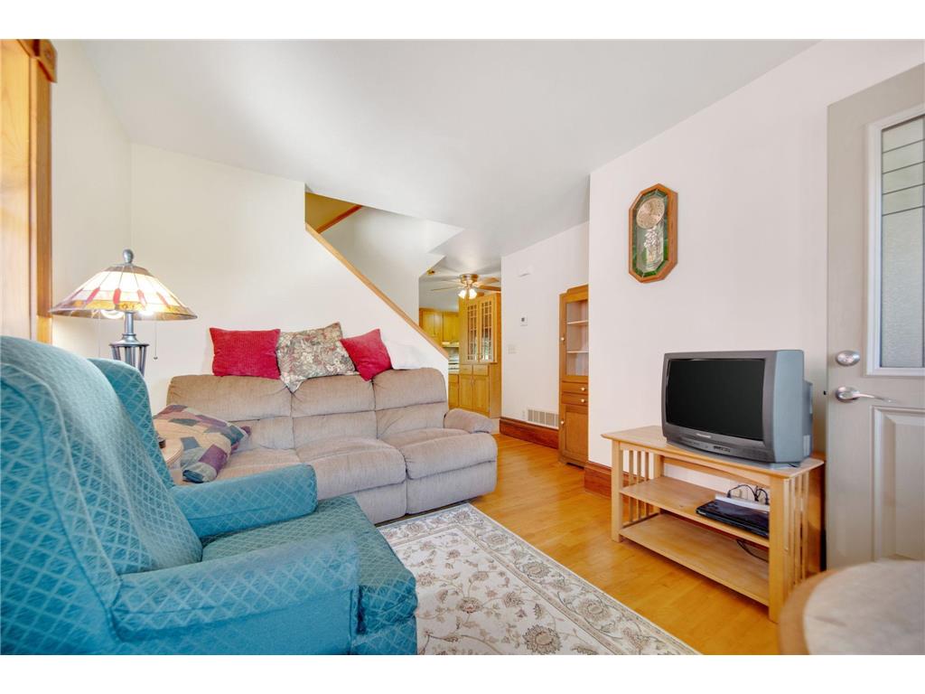 41912 205th Avenue Cordova Twp MN 56057 - Gorman 7021689 image15