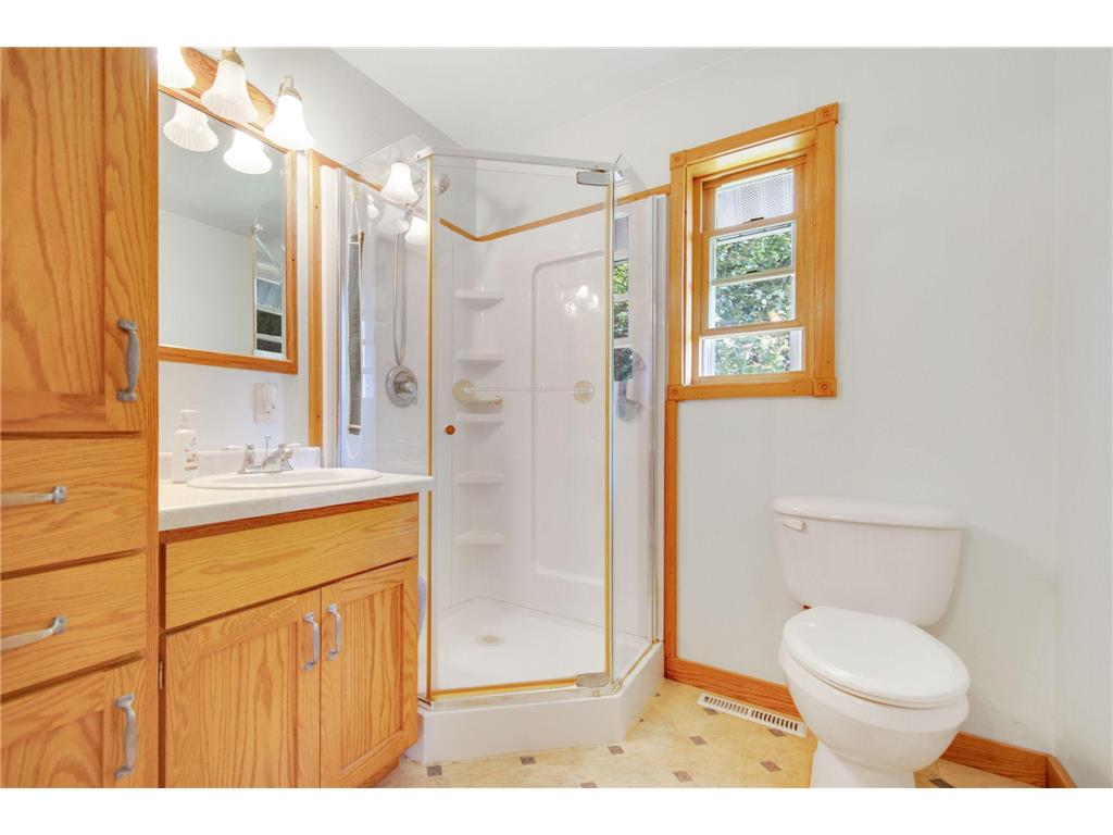 41912 205th Avenue Cordova Twp MN 56057 - Gorman 7021689 image16
