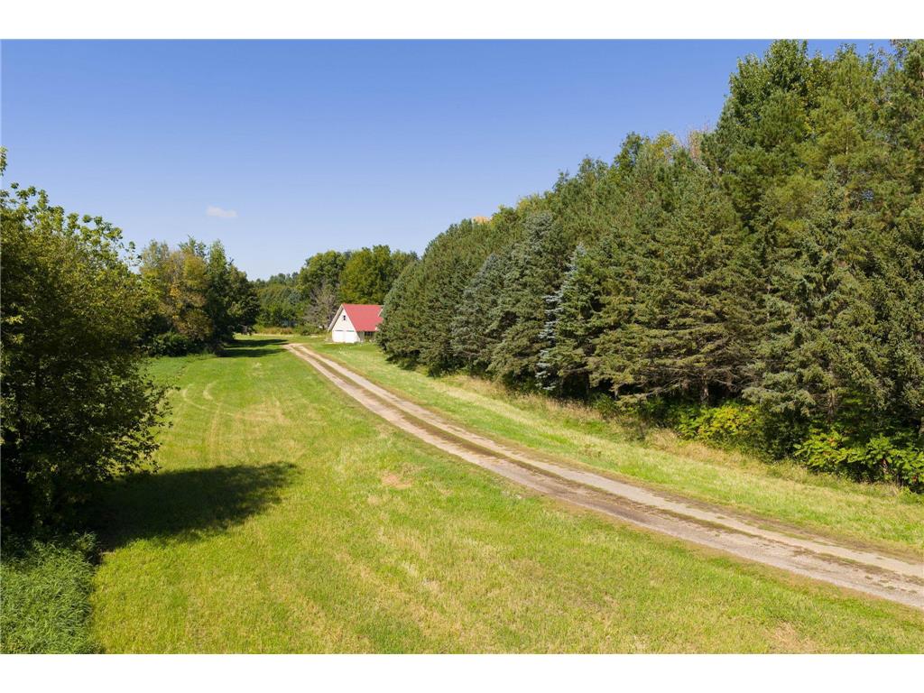 41912 205th Avenue Cordova Twp MN 56057 - Gorman 7021689 image53
