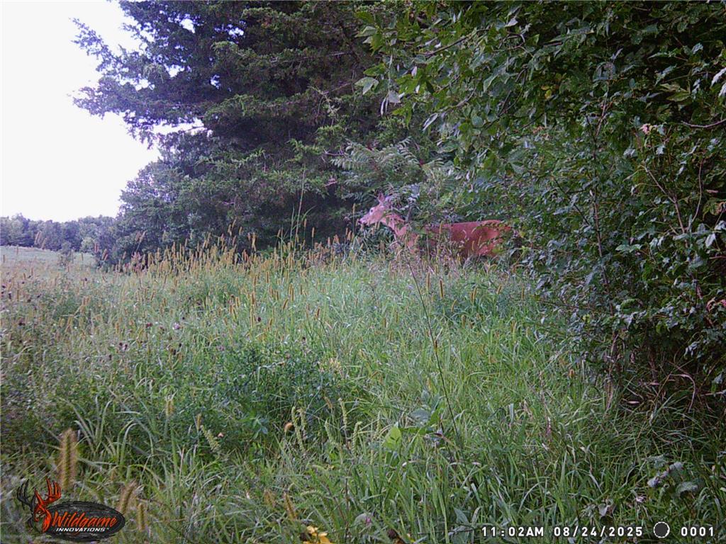 41912 205th Avenue Cordova Twp MN 56057 - Gorman 7021689 image54
