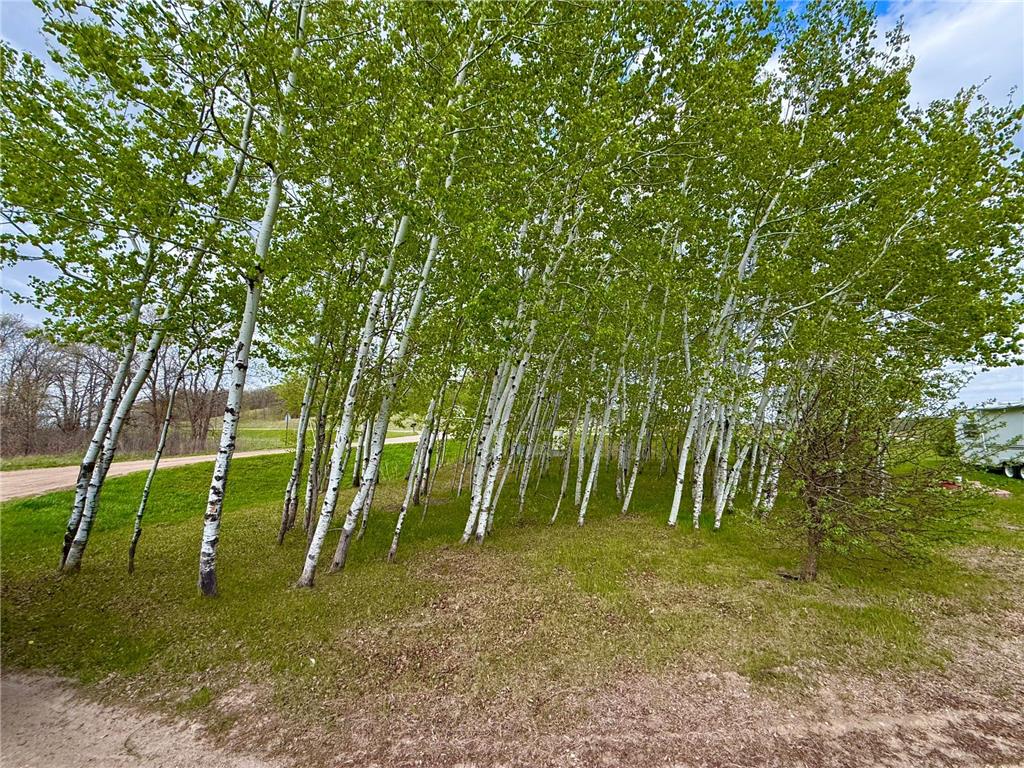 41970 400th St Perham MN 56573 7075404 image53