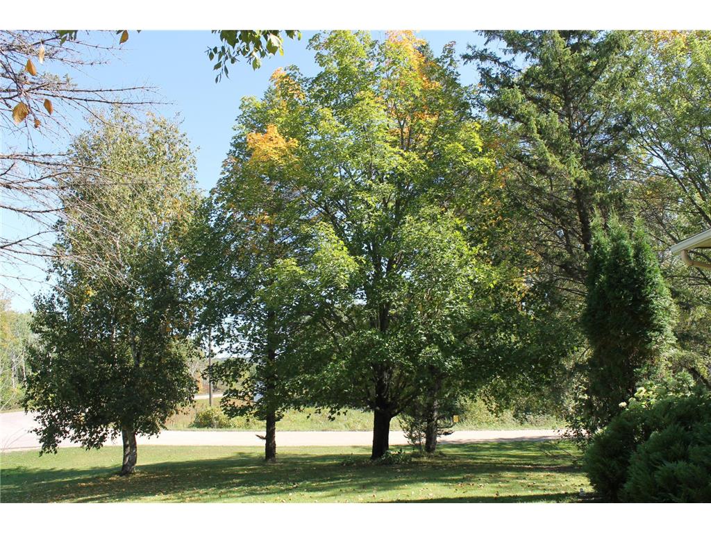 41974 County Highway 38 Highway Clitherall MN 56524 6791328 image28