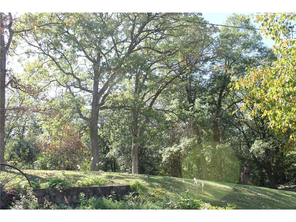 41974 County Highway 38 Highway Clitherall MN 56524 6791328 image30