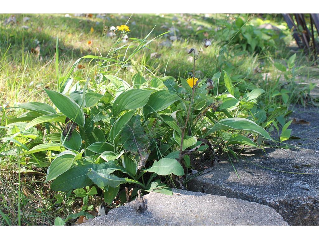 41974 County Highway 38 Highway Clitherall MN 56524 6791328 image31