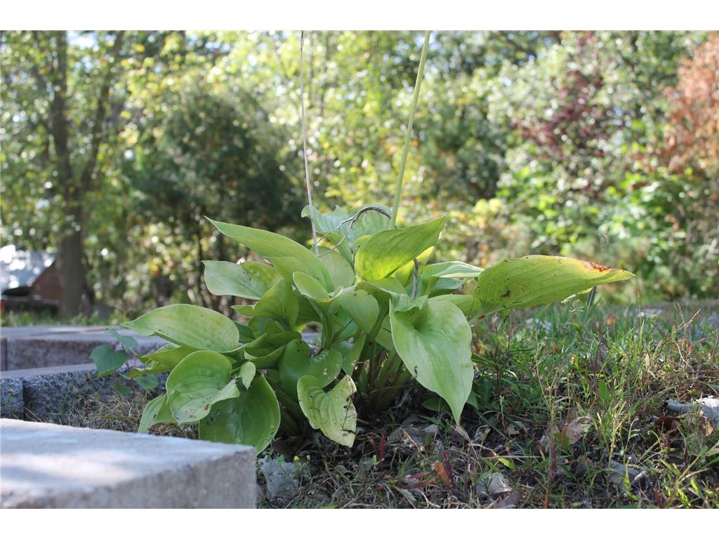 41974 County Highway 38 Highway Clitherall MN 56524 6791328 image32