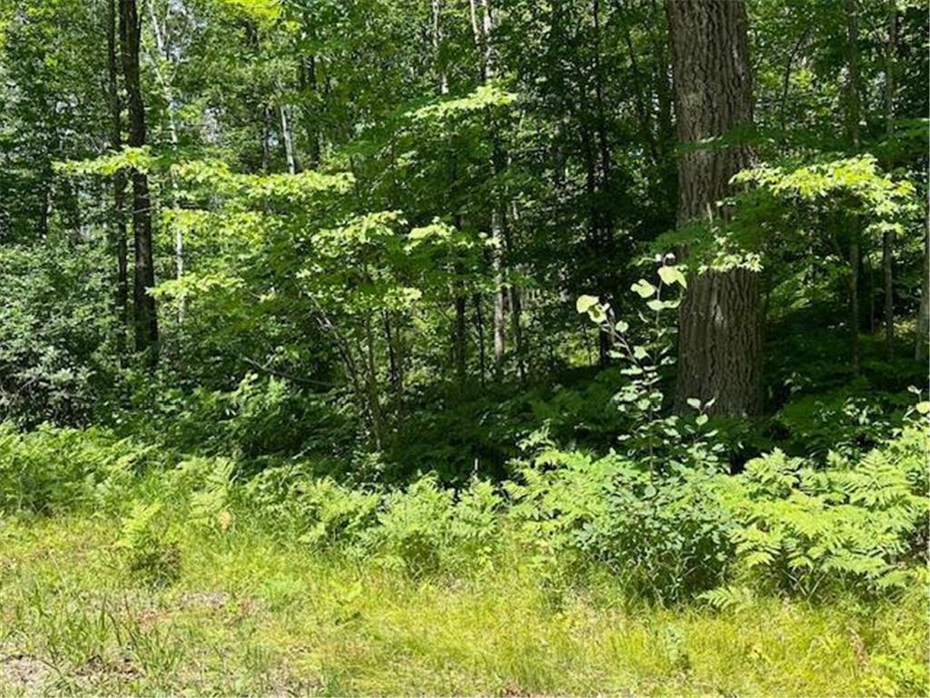 41988 251st Place Mcgregor MN 55760 - Rock 6751402 image40