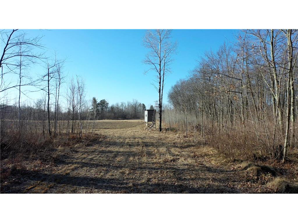 41993 590th Street Swatara MN 55785 - Otter 6691105 image1