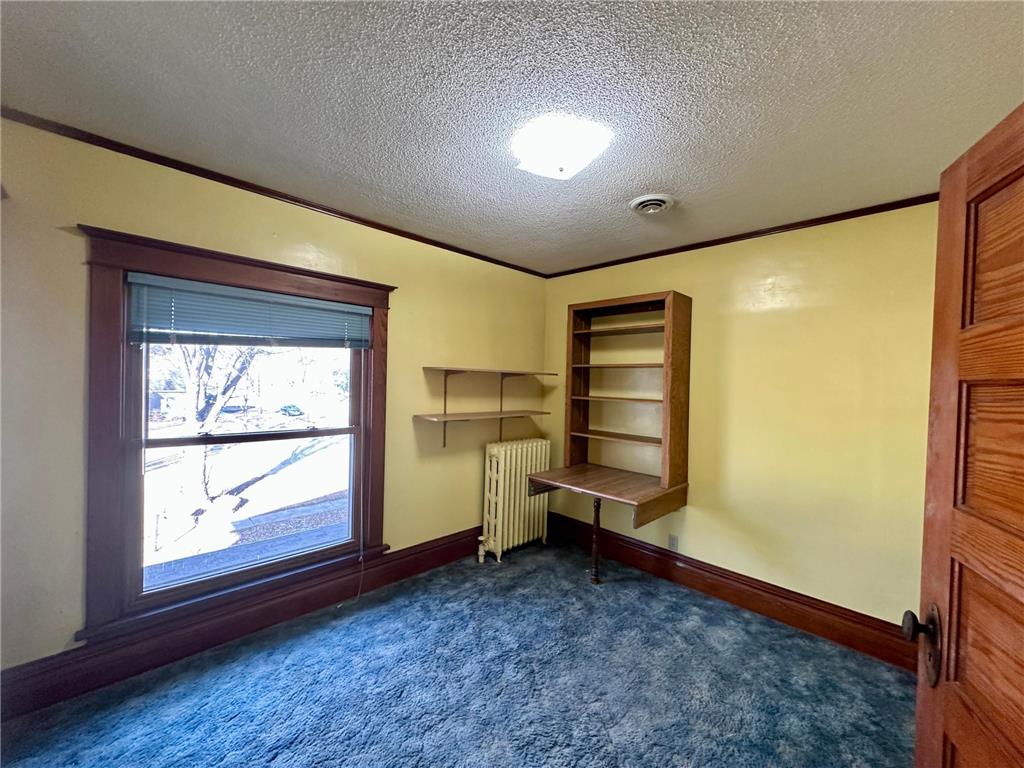 420 N Freeman Avenue Luverne MN 56156 7026910 image16