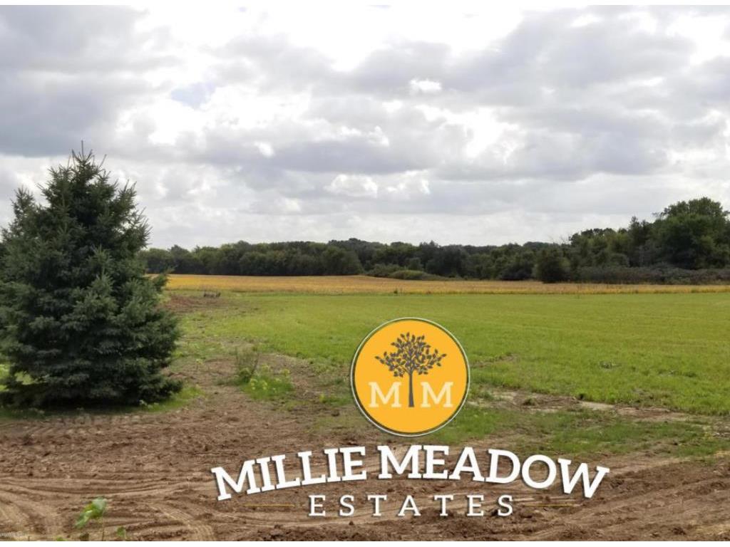 4200 Millie Meadow Drive SW Rochester MN 55902 5542734 image1