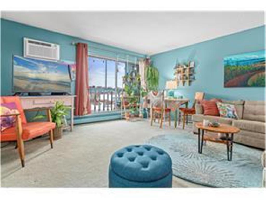 4201 Lakeside Avenue N #217 Brooklyn Center MN 55429 - Upper Twin Lake 6636117 image1